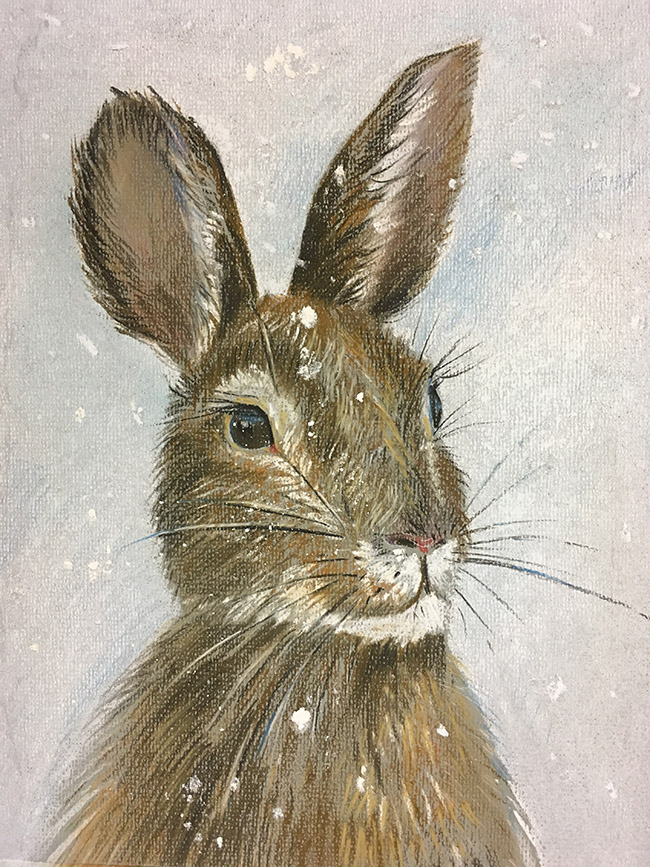 Портрет зайчика. Заяц пастелью. Кролик пастелью. Заяц живопись. Кролик масляной пастелью.